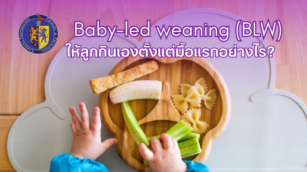 Baby-led Weaning BLW