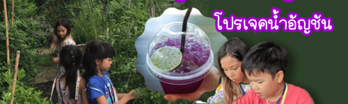 Butterfly Pea Project โปรเจคน้ำอัญชัน